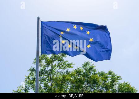 Eine Flagge der Europäischen Union (EU), die mit einem Baum im Hintergrund winkt. Stockfoto