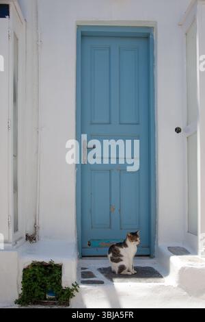 Katze in der Tür, Mykonos, Griechenland Stockfoto