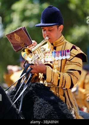 LONDON, ENGLAND – 14. JUNI: Die Band der Household Division tritt während der Trooping the Colour at Horse Guards Parade am 14. Juni 2025 in London auf. Die Parade zeigt zeremonielle Musik aus der gesamten britischen Armee und wird anlässlich des offiziellen Geburtstags des Souveräns abgehalten. (Foto: Lewis Langstaff-Wood/Alamy Live News) Stockfoto