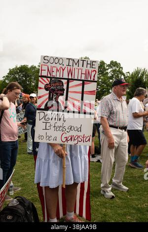 Greenville, South Carolina, USA - 14. Juni 2025 - Eine riesige Menschenmenge versammelte sich heute, um die Demokratie zu unterstützen und Unmut über Donald Trumps Präsidentschaft zum Ausdruck zu bringen. Der Greenville march, einer von Tausenden im ganzen Land, blieb friedlich und beinhaltete Sprecher, Volkslieder, Line Dance, Partymusik und guten Beifall. Quelle: Alamy Live News / Jodie Castellani-Castle Light Images - Nur Editorial. Stockfoto