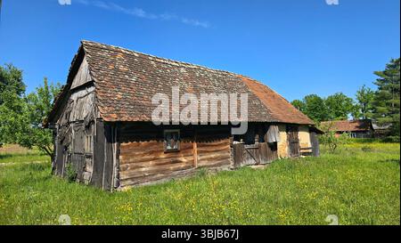 Alte Holzscheune mit Flickenteppichdach und kleinen Fenstern steht auf einer grünen Wiese mit Wildblumen, umgeben von Bäumen und blauem Himmel Stockfoto