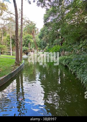 Curitiba Paraná Brasilien 3. Februar 2024 ruhiger Wasserkanal, der Himmel und Bäume in der grünen Landschaft von Passeio Público Curitiba auf einem warmen Aperitif reflektiert Stockfoto