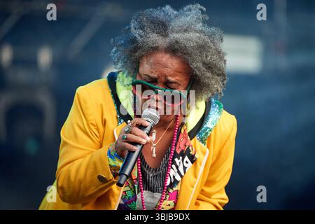 Ribeirao Preto, Brasilien. Juni 2025. Die Komponistin und Sängerin Sandra Sa tritt am 14. Juni 2025 beim Joao Rock Music Festival in Ribeirao Preto, Sao Paulo, Brasilien auf. (Foto: Igor do Vale/SIPA USA) Credit: SIPA USA/Alamy Live News Stockfoto