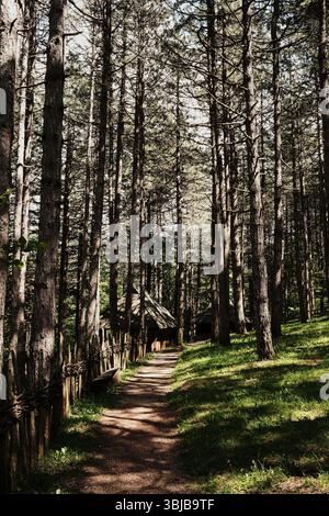 Ein unbefestigter Pfad schlängelt sich durch einen Kiefernwald, der zu traditionellen Holzhäusern im Ethno-Dorf Staro Selo in Serbien führt. Stockfoto