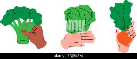 Ein Satz Cartoon-Hände, die frisches Gemüse halten. Brokkoli, Salat und Rote Bete. Gesunde Ernährung. Ökologisches Landgemüse. Vektorabbildung. Stock Vektor