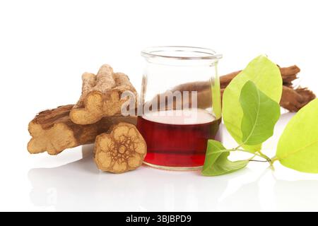 Ayahuasca Medizin. Banisteriopsis caapi Holz, psychotria Blätter und Ayahuasca in Houten auf weißem Hintergrund. Traditionelle pflanzliche Medi Stockfoto