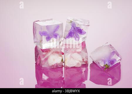 In Eiswürfeln gefrorene Blütenblüte. Eiskalte feminine Schönheit Stockfoto