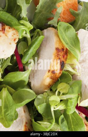 Köstlicher Hähnchensalat Hintergrund mit Salat, Rüben und Hühnerfleisch Stücke. Luxuriöses leichtes Essen im Sommer Stockfoto