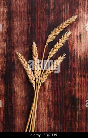 Getrocknete Gerste auf braunem hölzernem Hintergrund, Draufsicht. Organischer Getreideanbau. Landwirtschaftlicher Hintergrund mit Kopierraum Stockfoto