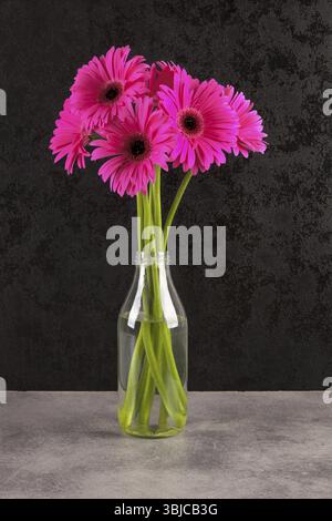Gerbera rosa Blüten in Vase vor dunklem Hintergrund Stockfoto