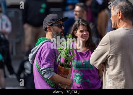 Sao Paulo, Sao Paulo, Brasilien. Juni 2025. SAO PAULO, Brasilien der Marihuana-Marsch in Sao Paulo fand am Samstag (14) unter dem Motto „das Klima ist angespannt – Wiedergutmachung, Rechte und Freiheit“ statt, mit starker Kritik an der sogenannten „falschen Entkriminalisierung“ des Marihuana-Besitzes durch den STF. (Kreditbild: © Wagner Vilas/ZUMA Press Wire) NUR REDAKTIONELLE VERWENDUNG! Nicht für kommerzielle ZWECKE! Stockfoto