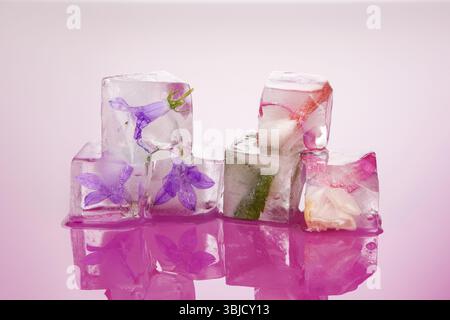 Schöne Blumen, gefroren in Eiswürfeln. Frisches Sommer- und Frühlingskonzept. Feminine natürliche Schönheit Stockfoto