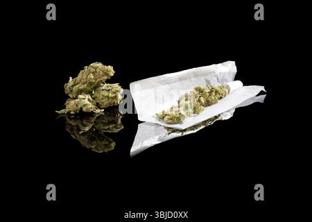 Marihuana-Knospen und Zigarettenpapier isoliert auf schwarzem Hintergrund. Cannabis rauchen, sucht oder medizinische Verwendung Stockfoto