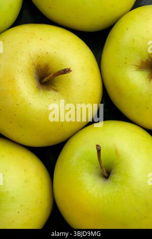 Blick von oben auf grüne Apfelfrüchte. Stockfoto
