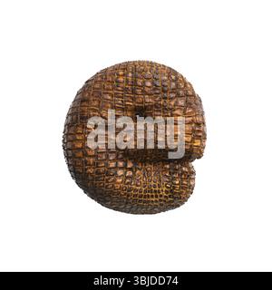 Krokodilbuchstabe E - Kleinbuchstabe 3D Reptilienschriftart isoliert auf weißem Hintergrund. Dieses Alphabet eignet sich perfekt für kreative Illustrationen, aber nicht beschränkt Stockfoto