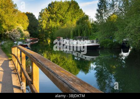 Hausboote und Freizeitboote liegen an einem schönen Frühlingsmorgen auf der Themse in Oxford, direkt flussaufwärts der Folly Bridge und in der Nähe von Osney Lock. P Stockfoto