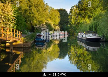 Hausboote und Freizeitboote liegen an einem schönen Frühlingsmorgen auf der Themse in Oxford, direkt flussaufwärts der Folly Bridge und in der Nähe von Osney Lock. P Stockfoto