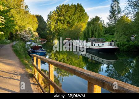Hausboote und Freizeitboote liegen an einem schönen Frühlingsmorgen auf der Themse in Oxford, direkt flussaufwärts der Folly Bridge und in der Nähe von Osney Lock. P Stockfoto