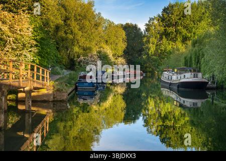Hausboote und Freizeitboote liegen an einem schönen Frühlingsmorgen auf der Themse in Oxford, direkt flussaufwärts der Folly Bridge und in der Nähe von Osney Lock. P Stockfoto