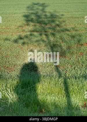 Schatten auf einem Feld, vom Fußweg von Radley zur Sounding Bridge aus gesehen. Einer meiner Lieblingsspaziergänge im Dorf. Nach vielen Jahren ist es erstaunlich Stockfoto