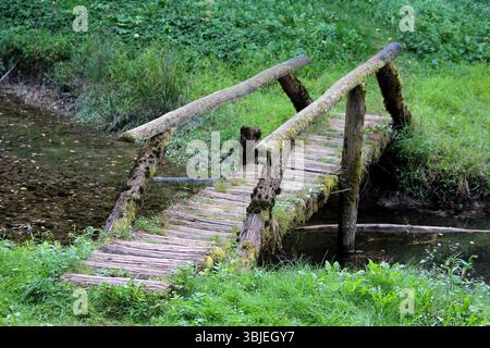 Eine schmale, rustikale Fußgängerbrücke aus rauen Holzdielen und Baumstämmen mit schlichtem Geländer überquert einen flachen Bach, umgeben von üppigem Gras und dicht Stockfoto
