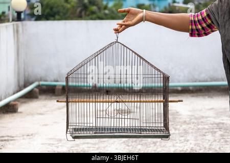 Weibliche Hand, die einen leeren Vogelkäfig hält. Freiheitskonzept, verlorenes Haustier, Traurigkeit, Einsamkeit oder Verlassenheit. Stockfoto