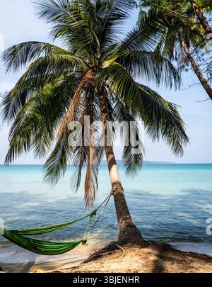 Eine ruhige Strandszene mit einer hohen Palme mit üppig grünen Wedeln, einer Hängematte zwischen zwei Bäumen und ruhigem türkisfarbenem Wasser im Hinterland Stockfoto
