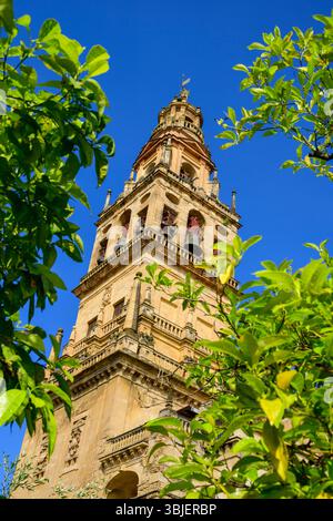 Torre Campanario, Córdoba, Andalusien, Spanien. Stockfoto