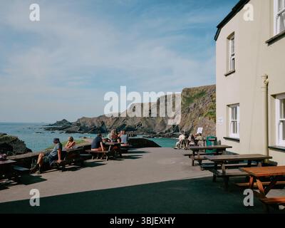 Im Sommer besuchen Besucher das Hartland Quay Hotel in North Devon, England, Großbritannien Stockfoto