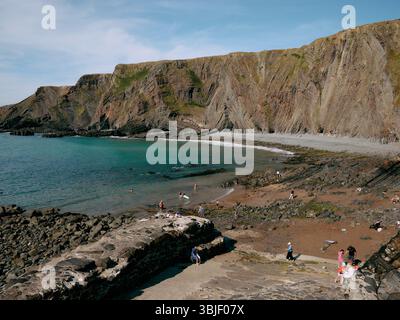 Sommerbesucher genießen den Strand am Hartland Quay, North Devon Coast England Großbritannien Stockfoto