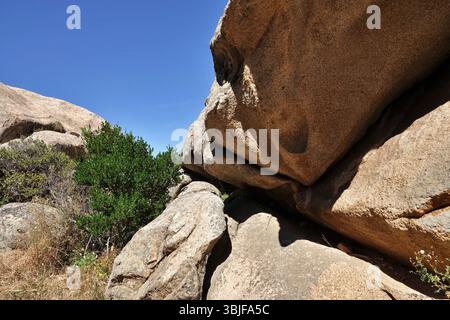 Rosa Granitfelsen in der Nähe von Palau, Gallura, Costa Smeralda, Sardinien, Italien Stockfoto
