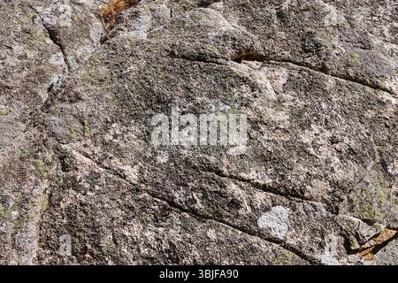 Rosa Granitfelsen in der Nähe von Palau, Gallura, Costa Smeralda, Sardinien, Italien Stockfoto