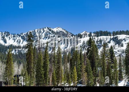 Heute bedeckte Berggipfel in der Nähe von Salt Lake City, Utah USA Stockfoto