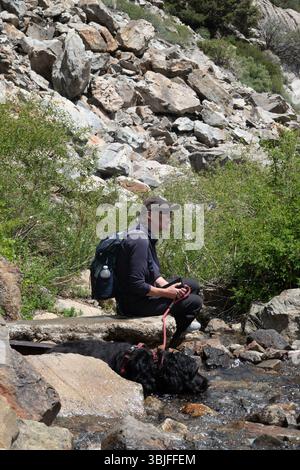 Frau und ihr Hund ruhen auf der Bergseite am Fluss auf dem Rush Creek Trail, während sie zum Agnew und Gem Lake in den Eastern Sierra Mountains wandern. Stockfoto