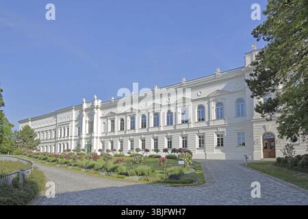 Leopoldina - Deutsche Akademie der Wissenschaften, Weißes Schloss, Halle an der Saale, Sachsen-Anhalt, Deutschland, Europa Stockfoto