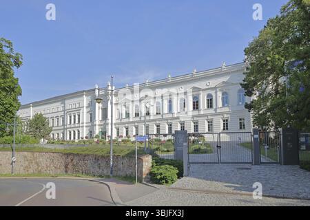 Leopoldina - Deutsche Akademie der Wissenschaften, Weißes Schloss, Halle an der Saale, Sachsen-Anhalt, Deutschland, Europa Stockfoto