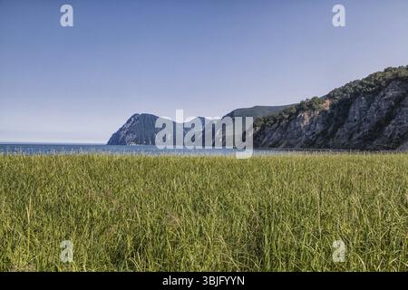 Flora von Kamtschatka. Wälder und Felder. Die Natur von Kamtschatka. Landschaften und herrliche Ausblicke auf die Kamchatka Halbinsel Stockfoto