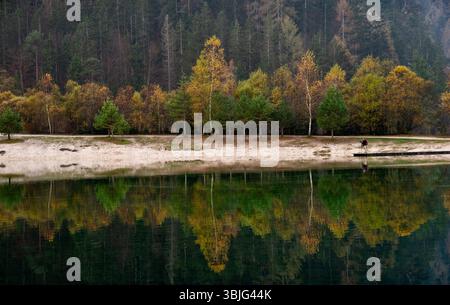Farbenfrohe Herbstbäume spiegeln sich auf der Oberfläche eines ruhigen Sees mit Fotograf auf einem hölzernen Pier, dem jasna-See Slowenien Stockfoto