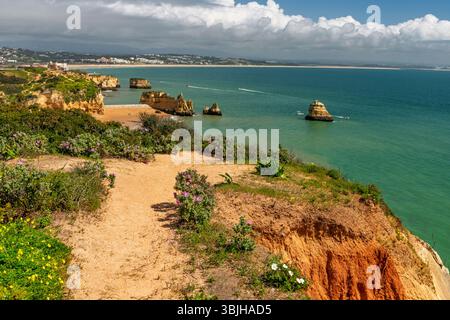 Dona Ana Strand mit Klippen und Meeresstapeln in der Nähe von Lagos, Algarve, Portugal, Europa. Stockfoto