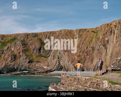 Die Crackington-Formation von Schiefer und Sandsteinen am Hartland Quay North Devon Coast England UK Stockfoto