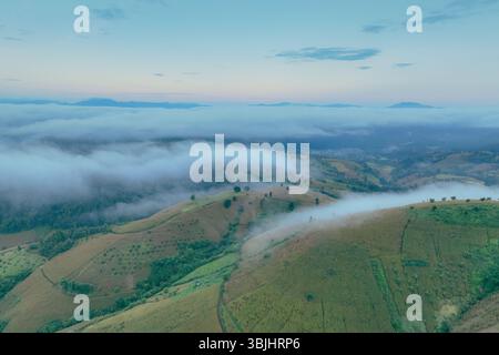 Ruhiger Blick aus der Vogelperspektive auf die grünen Hügel, die im Morgennebel bei Sonnenaufgang bedeckt sind. Friedliche Landschaft in landschaftlich reizvoller Landschaft, ideal für Natur, Wellness Stockfoto