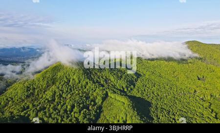 Blick aus der Vogelperspektive auf die üppig grünen Berge mit schwebenden Wolken. Eine atemberaubende Luftaufnahme einer grünen Bergkette, bedeckt mit üppigem Grün. Stockfoto