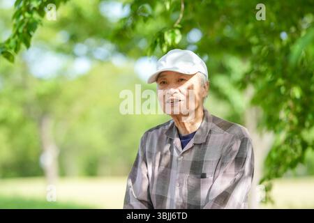In einem üppig grünen Park an einem sonnigen Maitag steht ein Japaner Ende 70 mit kariertem Hemd und weißem Hut still auf Stufen. Umgeben Stockfoto