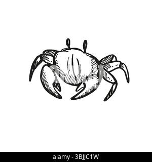 Vektor handgezeichnete Krabbe, wildes Leben des Meeresbodens, Krebstiere Tiere unter Meer, Ozean, Schwarzweiß Illustration Bewohner von Aquarien, Meeresboden und Co Stock Vektor