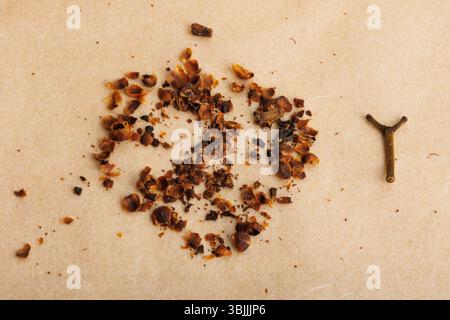 Krümel und Gewürze mit Holzmaterialien auf Papierhintergrund, Draufsicht, Stillleben Stockfoto