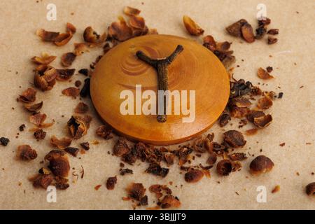 Krümel und Gewürze mit Holzmaterialien auf Papierhintergrund, Draufsicht, Stillleben Stockfoto