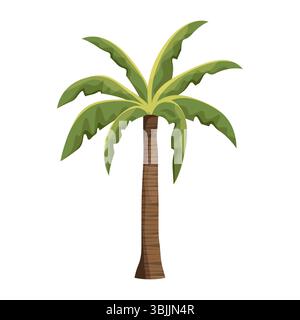 Vektorpalme oder isolierter Strandbaum. Symbol für exotische und tropische Flora oder Sommernatur. Landschaftselement für Inselurlaub und Urlaub, Entspannung. Meeresbepflanzung. Botanik und Biologie. Stock Vektor