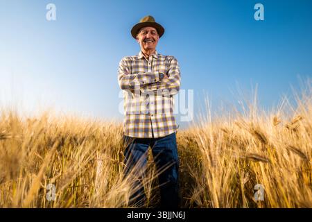 Der Senior Mann steht auf seinem wachsenden Weizenfeld. Porträt eines glücklichen älteren Mannes im Weizenfeld. Stockfoto