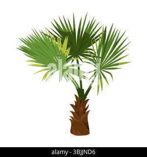 Isolierte Windmühle oder Chusanpalme. Vektor chinesischer oder indischer Baum oder trachycarpus fortunei. Symbol für die Landwirtschaft in Asien. Tropische Flora am Ufer oder Strand. Biologie und Botanik, exotische Landwirtschaft. Werk Japan. Stock Vektor