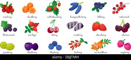 Cartoon frische Beeren. Isolierte Beere, saisonale Vitaminnahrung. Schwarze Johannisbeere Kirsche Himbeere Heidelbeere Stachelbeere. Neoterische Vektorclipart Stock Vektor